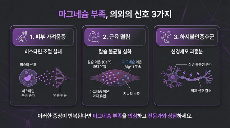 마그네슘 결핍으로 인한 근육 경련과 피부 가려움의 메커니즘을 설명하는 인포그래픽