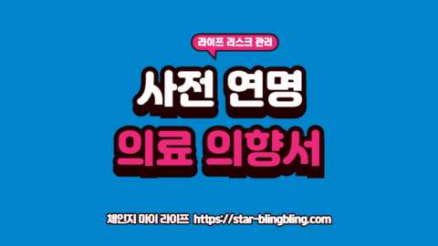 사전연명의료의향서의 가치와 등록 절차를 설명하는 지적인 전문가와 경청하는 시니어 가입자