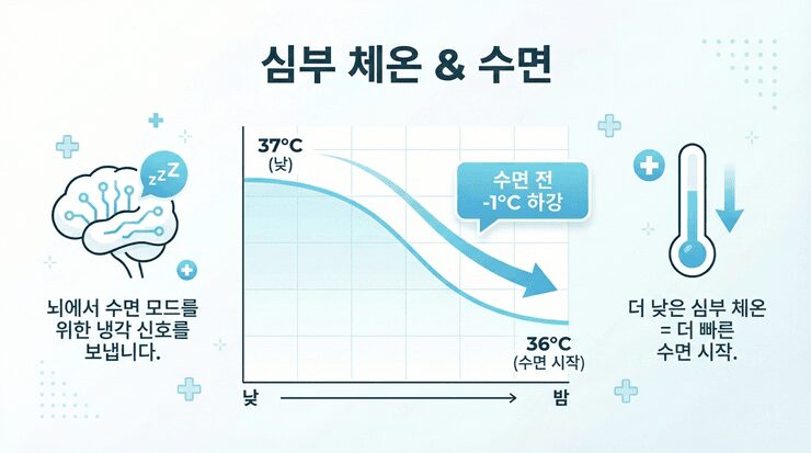 심부 체온 낮추는법: 멜라토닌 없이 '불면증 탈출'하는 1도의 과학 수면 적정 온도와 심부 체온 낮추는법의 상관관계를 설명하는 인포그래픽