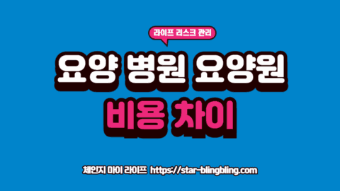 요양병원 요양원 차이를 분석하며 부모님을 위한 최적의 간병비 절감 방안을 검토하는 전문가의 모습