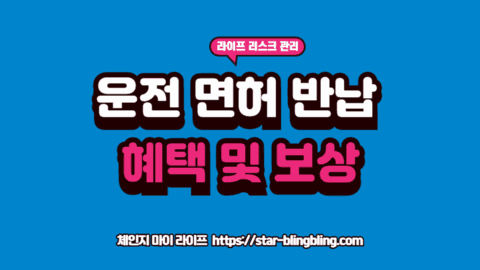 고령자 운전면허 반납 혜택을 확인하며 지자체별 지원금과 교통카드를 검토하는 전문가