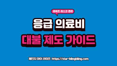 응급의료비 대불제도를 통해 긴급한 병원비를 국가가 대신 내주는 법을 확인하는 전문가