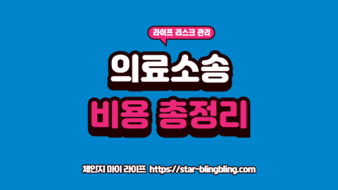 의료소송 비용 산출을 위해 법률 문서와 예산안을 분석하는 전문가