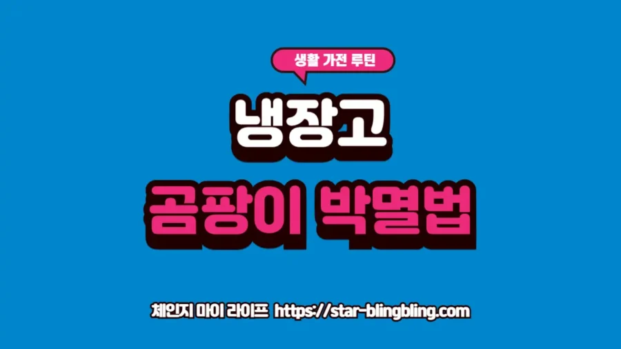 냉장고 고무패킹 청소를 위해 소독용 알코올과 면봉으로 곰팡이를 정밀하게 제거하는 실제 주방 루틴 모습