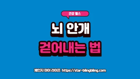 브레인 포그 해결을 위해 장·혈당·수면이라는 신체 핵심 시스템을 정렬하여 인지 능력을 회복하는 방법을 보여주는 프리미엄 썸네일 이미지