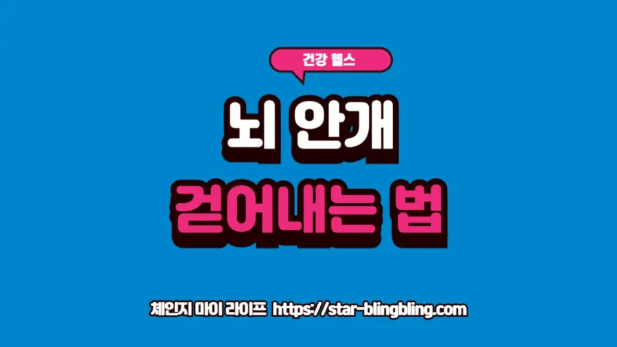 브레인 포그 해결을 위해 장·혈당·수면이라는 신체 핵심 시스템을 정렬하여 인지 능력을 회복하는 방법을 보여주는 프리미엄 썸네일 이미지