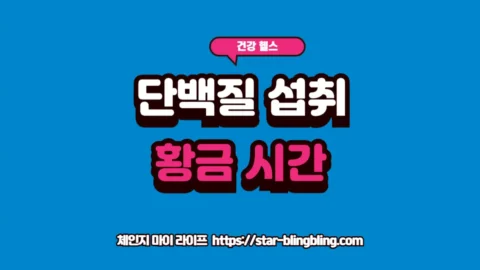 근손실 예방을 위해 최적의 단백질 섭취 시간과 아침 단백질 섭취의 중요성을 안내하는 프리미엄 인포그래픽 썸네일 이미지