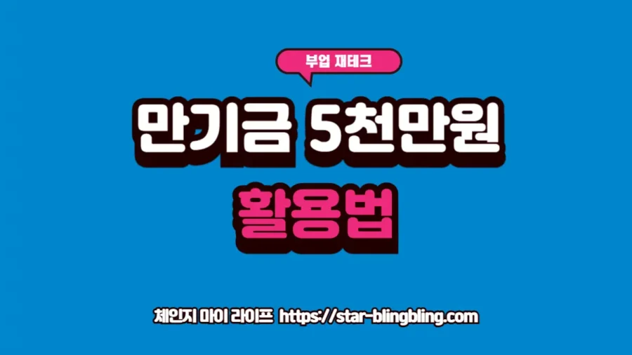 청년도약계좌 만기금 주택드림청약 일시납 전략: 내 집 마련 수익률 극대화 비결 청년도약계좌 만기금을 주택드림청약통장에 일시납 하려는 계획적인 청년의 모습을 담은 썸네일 이미지