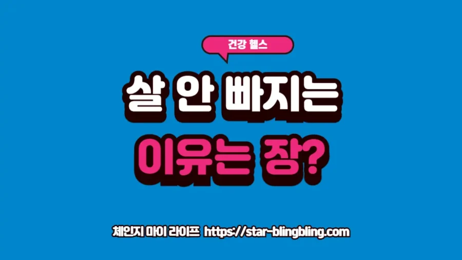 장 건강 불균형이 만성 염증을 유발하여 노력에도 불구하고 체중 증가가 지속되는 대사적 원인을 설명하는 프리미엄 썸네일 이미지