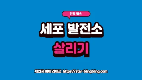 미토콘드리아 기능 부전으로 인한 전신 에너지 저하를 해결하고 세포 활력을 복구하는 정밀 대사 가이드 이미지