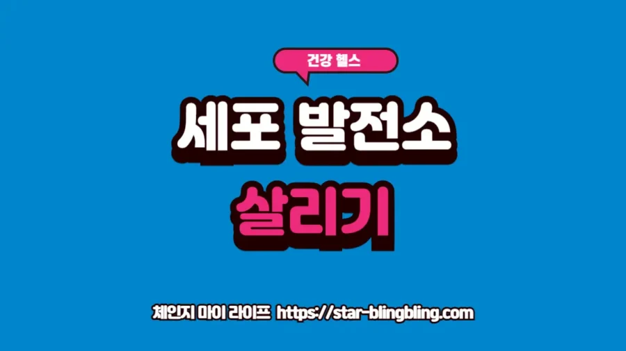 아무리 쉬어도 피곤하다면? 당신의 미토콘드리아가 망가졌다는 결정적 신호 (에너지 저하 탈출법) 미토콘드리아 기능 부전으로 인한 전신 에너지 저하를 해결하고 세포 활력을 복구하는 정밀 대사 가이드 이미지