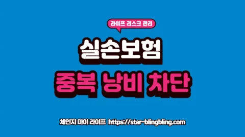 2026년 실손보험 중복 가입 여부를 확인하고 보험료 낭비를 차단하기 위한 개인 및 단체 실손 보장 중복 분석 리포트 썸네일
