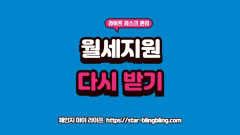 청년 월세지원 재신청 승인을 위해 소득 기준 초과 문제와 예외 조건을 정밀 분석하는 2026년 복지 경영 썸네일 이미지