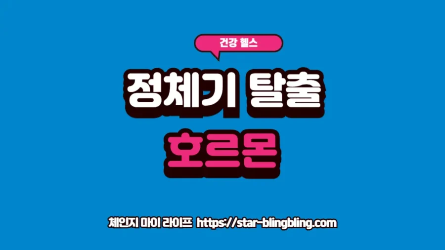 다이어트 정체기 극복을 위해 코르티솔 수치를 낮추고 스트레스 호르몬을 관리하는 방법을 설명하는 프리미엄 인포그래픽 썸네일 이미지