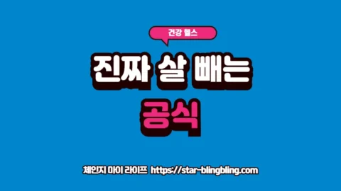 체지방 감소와 근손실의 차이를 설명하고 기초대사량 사수를 강조하는 프리미엄 인포그래픽 썸네일 이미지